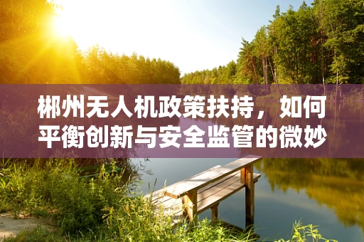 郴州无人机政策扶持，如何平衡创新与安全监管的微妙平衡？