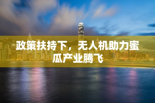 政策扶持下，无人机助力蜜瓜产业腾飞