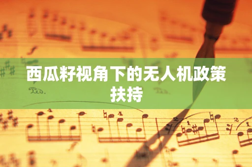 西瓜籽视角下的无人机政策扶持