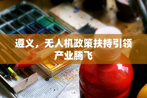 遵义，无人机政策扶持引领产业腾飞
