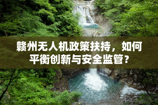 赣州无人机政策扶持，如何平衡创新与安全监管？