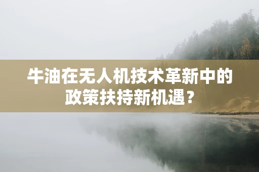 牛油在无人机技术革新中的政策扶持新机遇？