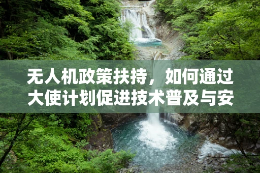 无人机政策扶持，如何通过大使计划促进技术普及与安全监管？