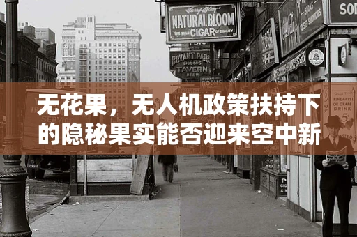 无花果，无人机政策扶持下的隐秘果实能否迎来空中新机遇？