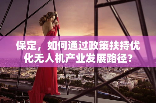 保定，如何通过政策扶持优化无人机产业发展路径？