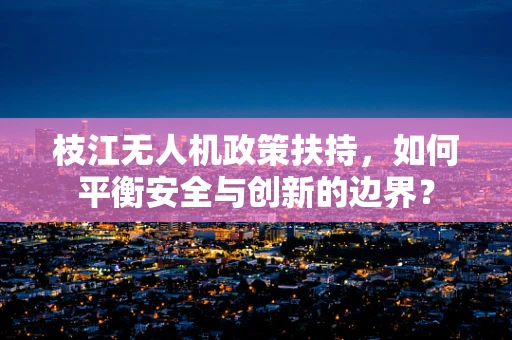 枝江无人机政策扶持，如何平衡安全与创新的边界？