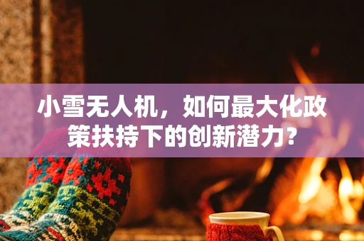 小雪无人机，如何最大化政策扶持下的创新潜力？