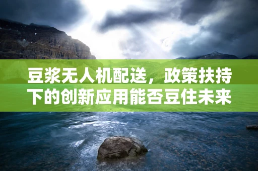 豆浆无人机配送，政策扶持下的创新应用能否豆住未来？