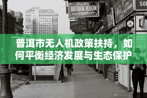 普洱市无人机政策扶持，如何平衡经济发展与生态保护？