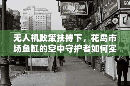 无人机政策扶持下，花鸟市场鱼缸的空中守护者如何实现？