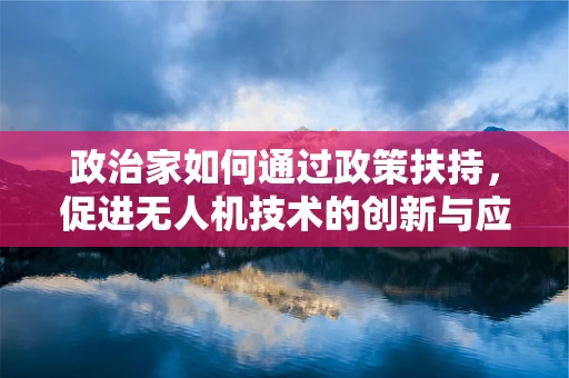 政治家如何通过政策扶持，促进无人机技术的创新与应用？