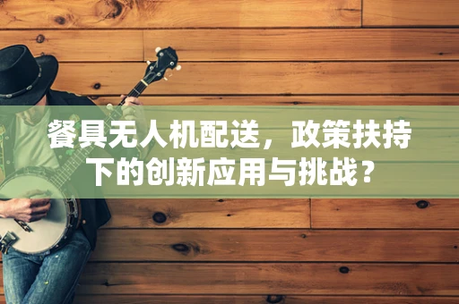 餐具无人机配送，政策扶持下的创新应用与挑战？
