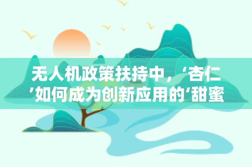 无人机政策扶持中，‘杏仁’如何成为创新应用的‘甜蜜点’？