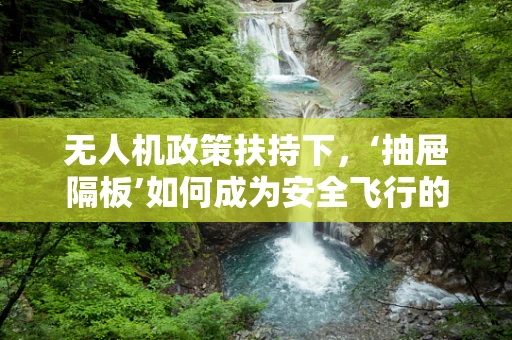 无人机政策扶持下，‘抽屉隔板’如何成为安全飞行的隐形守护者？