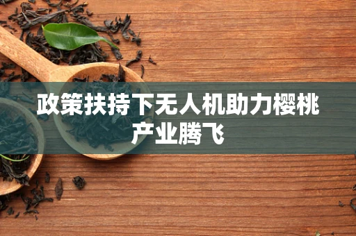 政策扶持下无人机助力樱桃产业腾飞