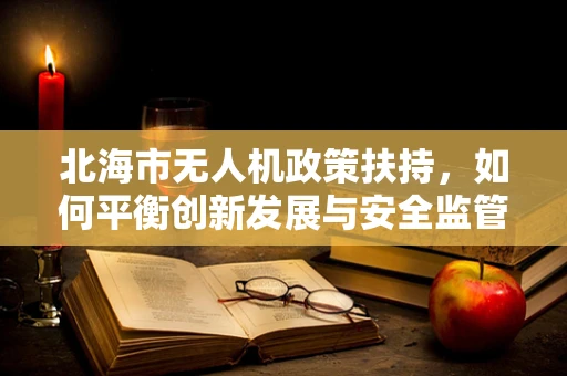 北海市无人机政策扶持，如何平衡创新发展与安全监管的空中之舞？