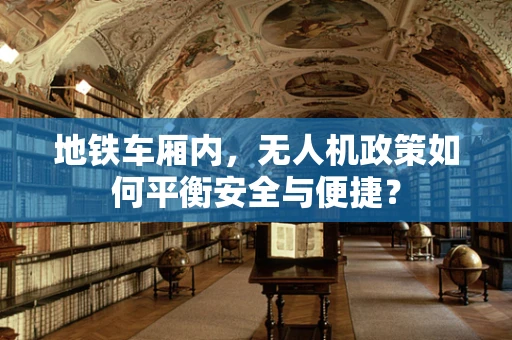 地铁车厢内，无人机政策如何平衡安全与便捷？