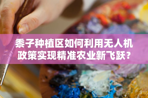黍子种植区如何利用无人机政策实现精准农业新飞跃？