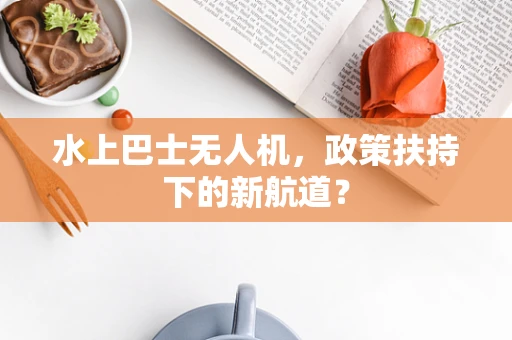 水上巴士无人机，政策扶持下的新航道？