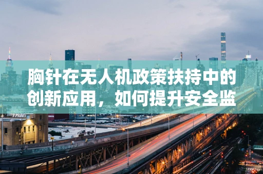 胸针在无人机政策扶持中的创新应用，如何提升安全监管效率？