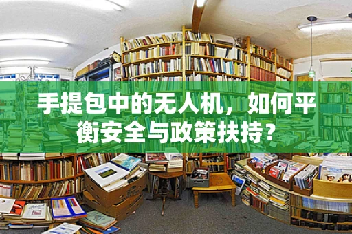 手提包中的无人机，如何平衡安全与政策扶持？