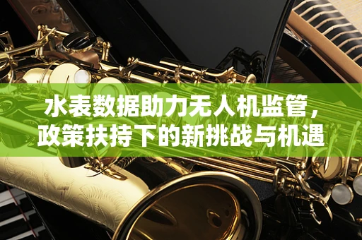 水表数据助力无人机监管，政策扶持下的新挑战与机遇？