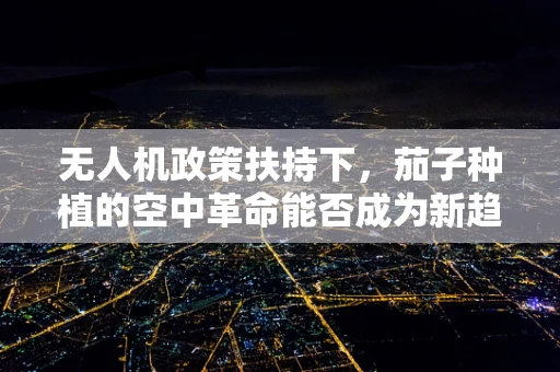 无人机政策扶持下，茄子种植的空中革命能否成为新趋势？