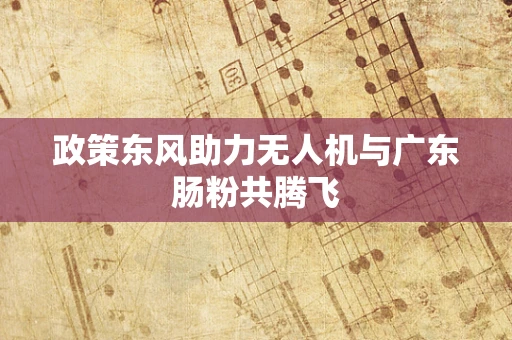 政策东风助力无人机与广东肠粉共腾飞