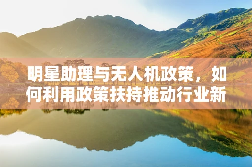 明星助理与无人机政策，如何利用政策扶持推动行业新风尚？