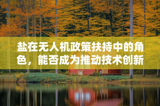盐在无人机政策扶持中的角色，能否成为推动技术创新的‘催化剂’？
