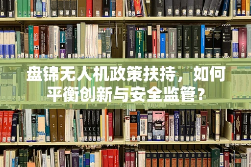 盘锦无人机政策扶持，如何平衡创新与安全监管？