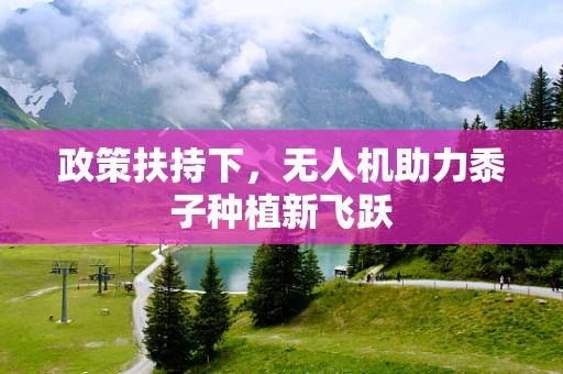 政策扶持下，无人机助力黍子种植新飞跃