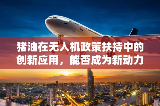 猪油在无人机政策扶持中的创新应用，能否成为新动力源？