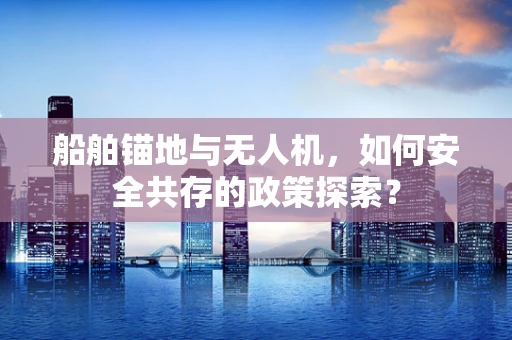 船舶锚地与无人机，如何安全共存的政策探索？
