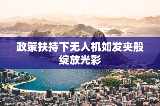 政策扶持下无人机如发夹般绽放光彩
