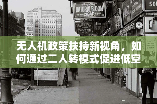 无人机政策扶持新视角，如何通过二人转模式促进低空经济活力？