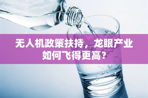 无人机政策扶持，龙眼产业如何飞得更高？