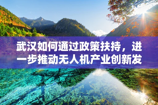 武汉如何通过政策扶持，进一步推动无人机产业创新发展？