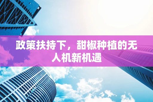 政策扶持下，甜椒种植的无人机新机遇