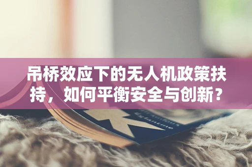 吊桥效应下的无人机政策扶持，如何平衡安全与创新？