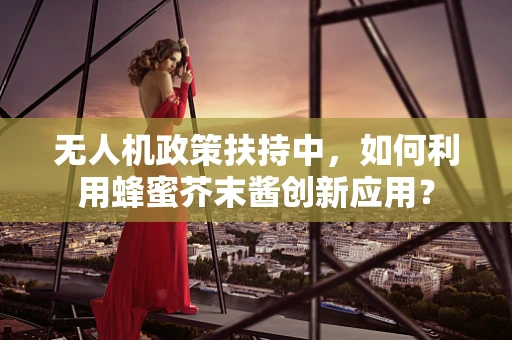 无人机政策扶持中，如何利用蜂蜜芥末酱创新应用？