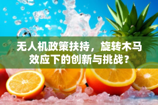 无人机政策扶持，旋转木马效应下的创新与挑战？