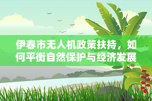 伊春市无人机政策扶持，如何平衡自然保护与经济发展？