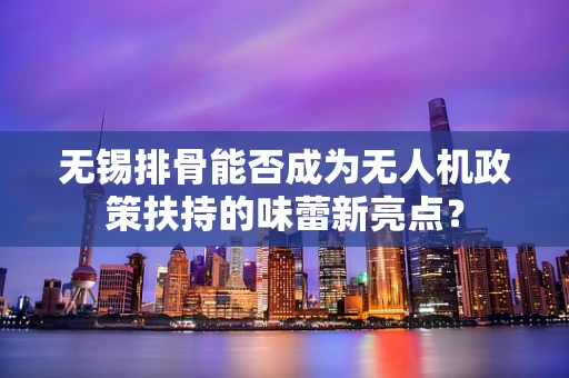 无锡排骨能否成为无人机政策扶持的味蕾新亮点？