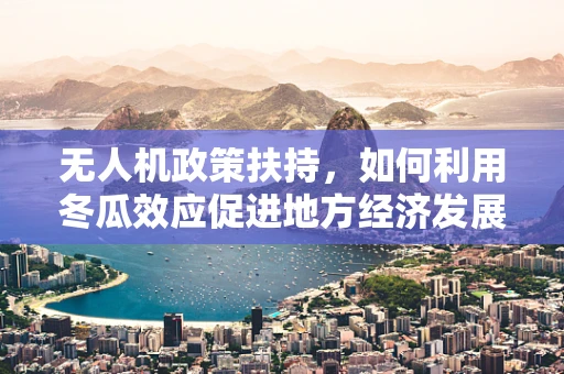 无人机政策扶持，如何利用冬瓜效应促进地方经济发展？