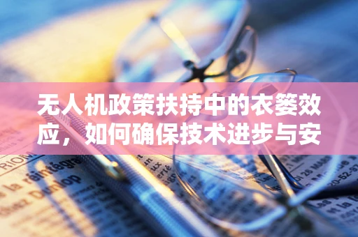 无人机政策扶持中的衣篓效应，如何确保技术进步与安全监管的和谐共舞？
