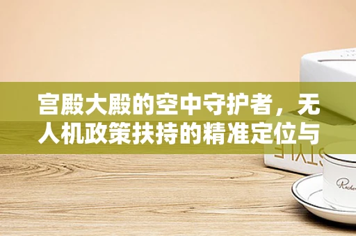 宫殿大殿的空中守护者，无人机政策扶持的精准定位与挑战