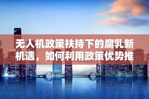 无人机政策扶持下的腐乳新机遇，如何利用政策优势推动创新应用？