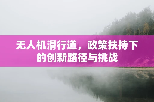 无人机滑行道，政策扶持下的创新路径与挑战