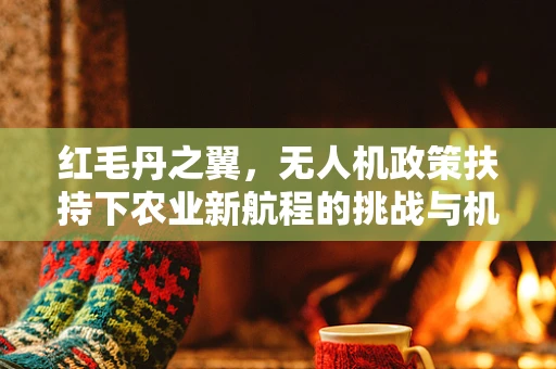 红毛丹之翼，无人机政策扶持下农业新航程的挑战与机遇？